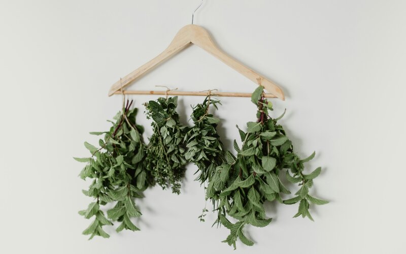 How to dry flowers for resin the easy way BBC Maestro